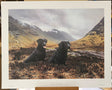 under brooding clouds print by artist steven townsend