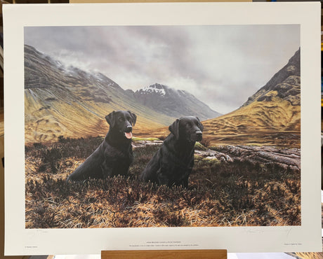 under brooding clouds print by artist steven townsend