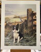 up north artist proof print by artist steven townsend
