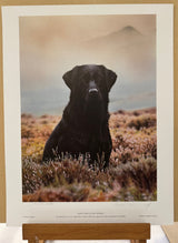 waiting game artist proof print by artist steven townsend