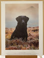 waiting game print by artist steven townsend