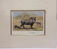 warthog family mounted print by artist david shepherd