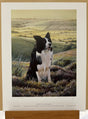 watchful eye print by artist steven townsend