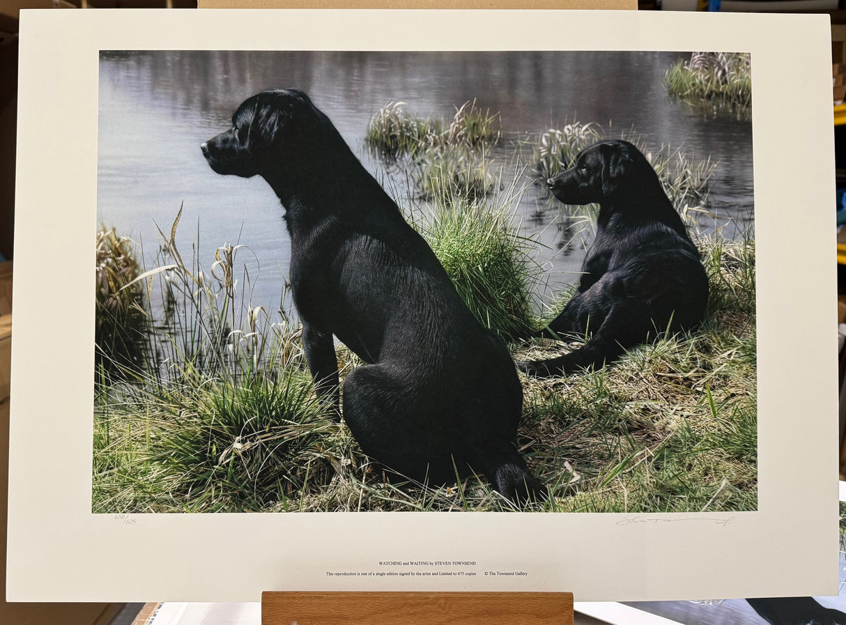 watching and waiting print by artist steven townsend