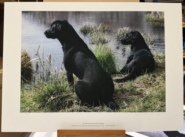 watching and waiting print by artist steven townsend