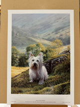 westie print by artist steven townsend