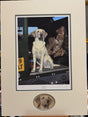 yellow cab limited edition print with original head study of a labrador looking to the right mounted by artist nigel hemming