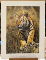 young pretender artist proof print only by artist steven townsend