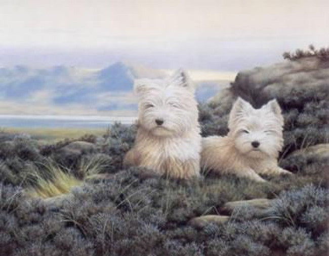 Young Highlanders