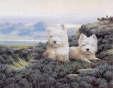 Young Highlanders