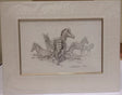 zebra pencil mounted print by artist david shepherd