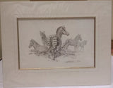 zebra pencil mounted print by artist david shepherd
