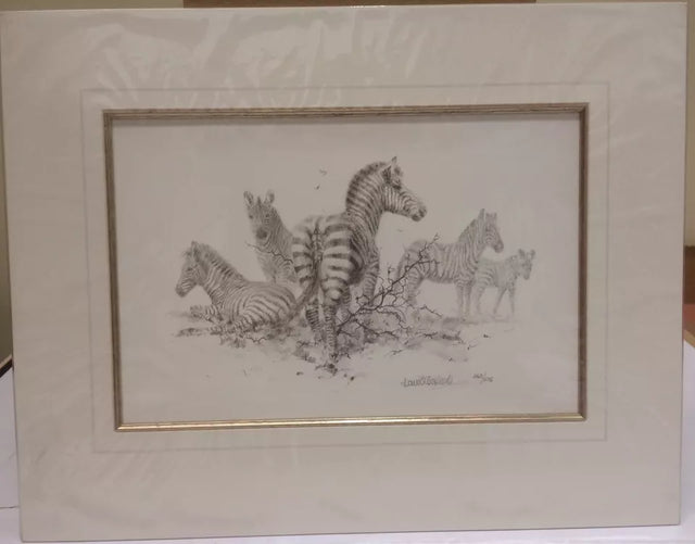 zebra pencil mounted print by artist david shepherd