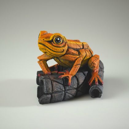 Picture of African Tree Frog- Orange