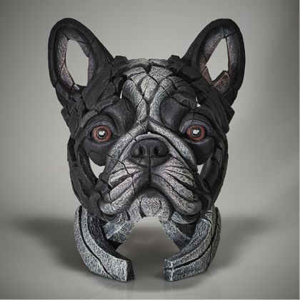 Picture of French Bulldog - Pied