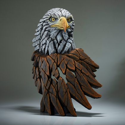 Picture of Bald Eagle