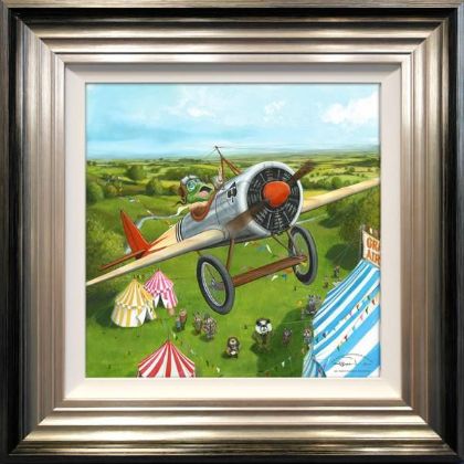 Picture of Mr Toad's Fantastic Air Display