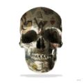 Picture of Tattoo Skull - Large