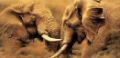 Picture of Power Play - Elephants