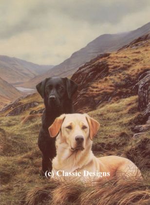 Picture of Friends - Labradors