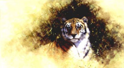 Picture of Working Sketch For A Painting Of A Tiger