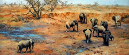 Picture of African Waterhole