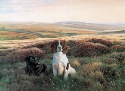 Picture of Workmates - Springer & Labrador