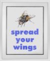 Picture of Spread Your Wings