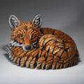 Picture of Curled Up Fox